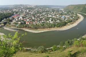 Заліщики